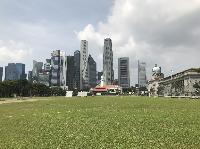 IMG_3978.JPG