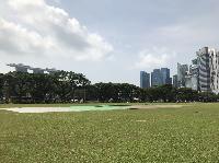 IMG_3985.JPG