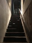 IMG_4206.JPG