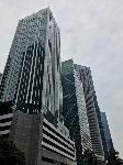 IMG_4342.JPG