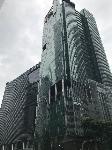 IMG_4421.JPG