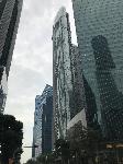 IMG_4434.JPG