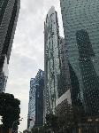 IMG_4436.JPG