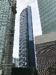 IMG_4455.JPG