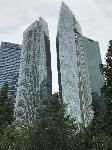 IMG_4516.JPG