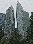 IMG_4520.JPG
