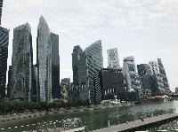 IMG_4521.JPG