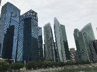 IMG_4525.JPG