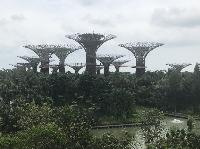 IMG_4782.JPG
