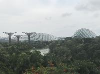 IMG_4785.JPG