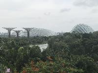 IMG_4786.JPG