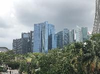 IMG_4799.JPG