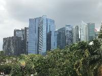 IMG_4801.JPG