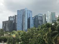 IMG_4802.JPG