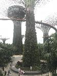 IMG_4814.JPG