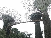 IMG_4842.JPG