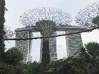 IMG_4875.JPG