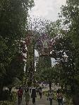IMG_4884.JPG