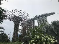 IMG_4898.JPG