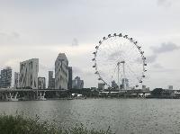 IMG_4910.JPG