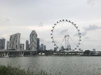 IMG_4911.JPG