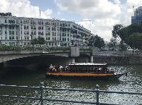 IMG_4988.JPG