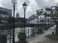 IMG_4993.JPG