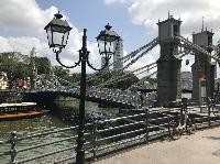 IMG_5080.JPG