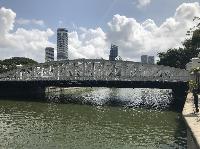 IMG_5098.JPG