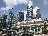 IMG_5133.JPG