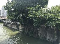 IMG_5168.JPG