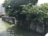 IMG_5170.JPG