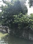 IMG_5174.JPG