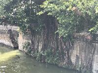 IMG_5180.JPG