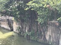IMG_5182.JPG