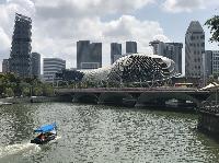 IMG_5184.JPG