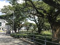 IMG_5188.JPG