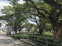 IMG_5189.JPG