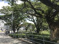 IMG_5190.JPG