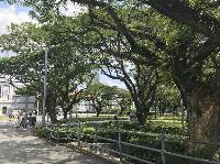 IMG_5191.JPG