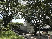 IMG_5218.JPG
