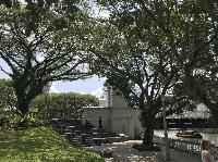 IMG_5219.JPG