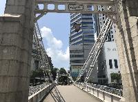 IMG_5233.JPG