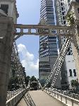 IMG_5234.JPG