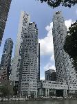 IMG_5246.JPG