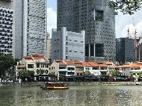 IMG_5250.JPG