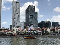 IMG_5306.JPG