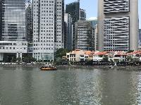 IMG_5331.JPG
