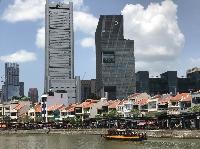 IMG_5339.JPG