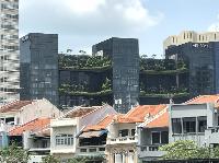 IMG_5398.JPG